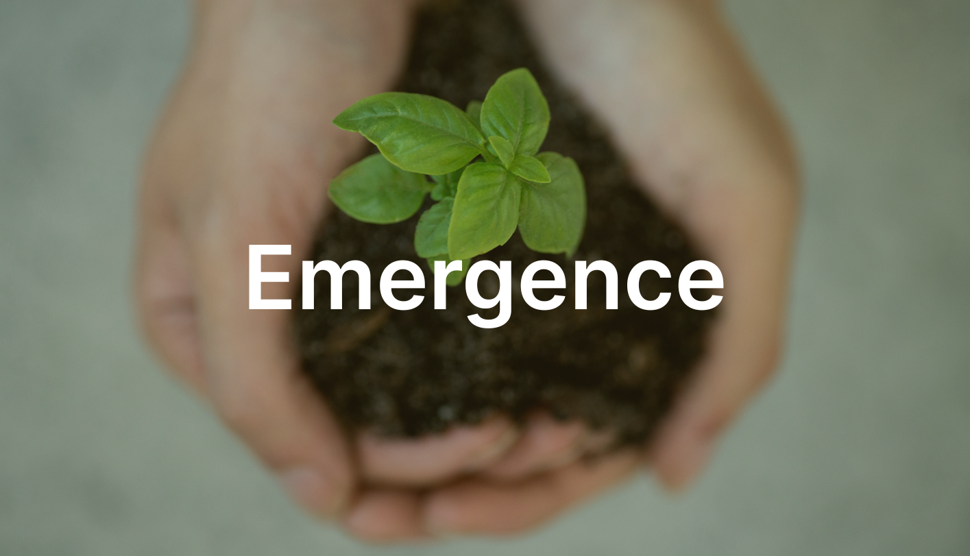 emergence – making space for what’s unfolding, without forcing outcomes
